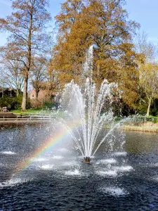 Pat 13 - Regenboogje